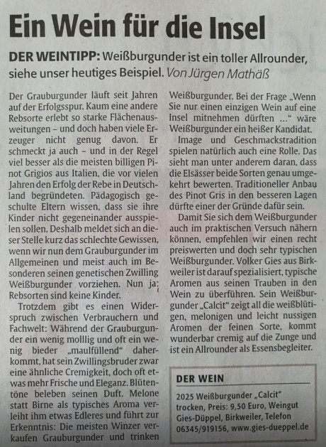 Rheinpfalz Mai 2026.jpg